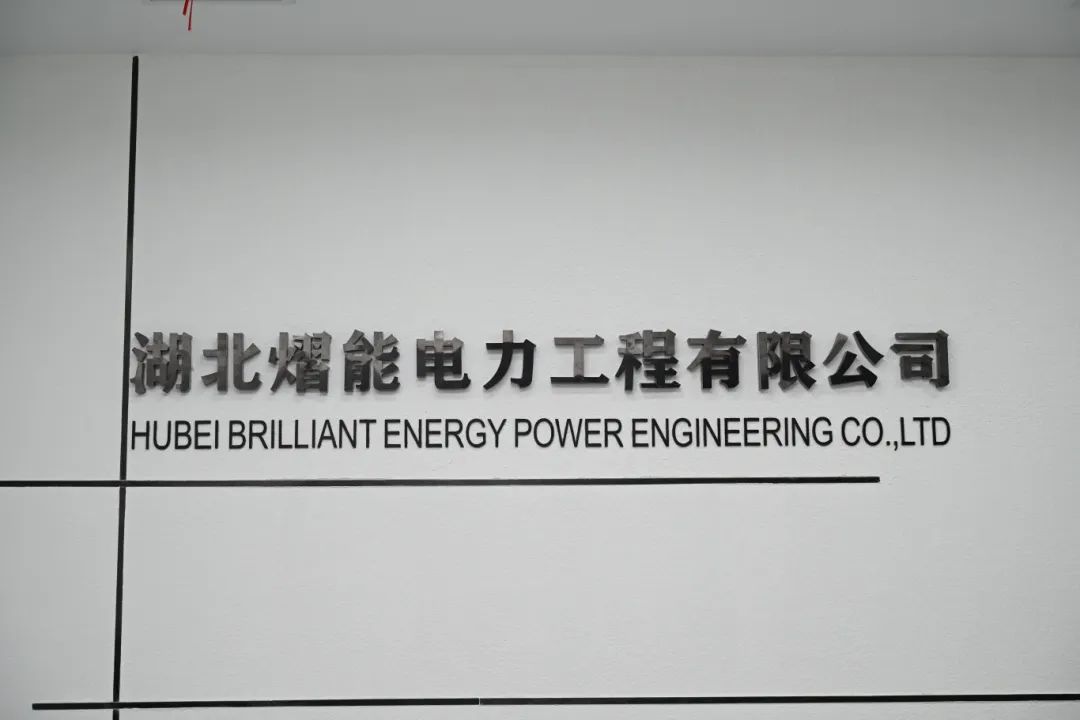 理事专访 | 胡强：熠能电力在“一带一路”上种一棵“长青树”