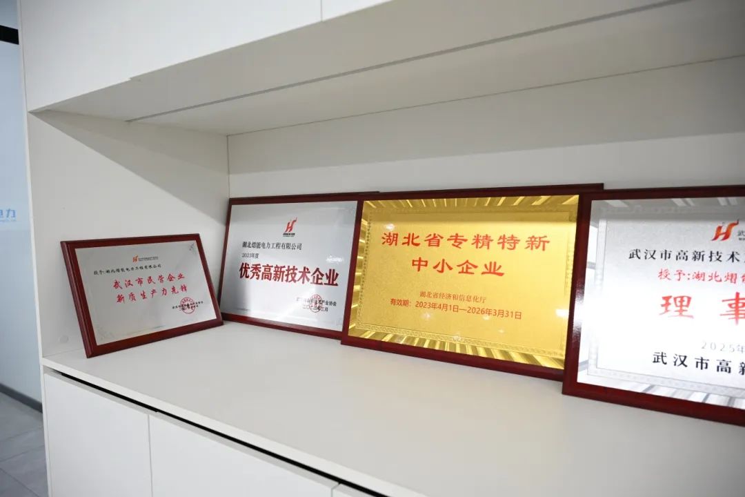 理事专访 | 胡强：熠能电力在“一带一路”上种一棵“长青树”