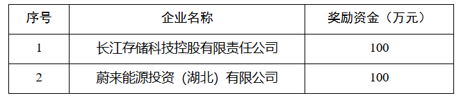 关于武汉市2025年独角兽企业奖励资金拨付的公示